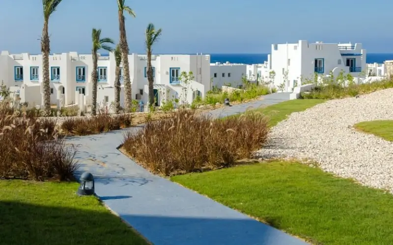 ماونتن فيو راس الحكمة الساحل الشمالي mountain view north coast